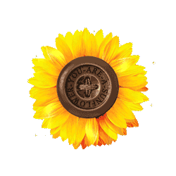 You are a Sunflower Foundation